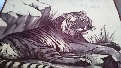 سمی‌ترین مد تاریخ ایران؛ پتو پلنگی چطور وارد خانه ایرانی‌ها شد؟ + عکس