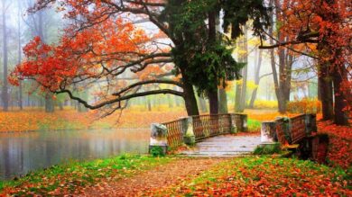 سامانه جدید بارشی وارد می شود/ این استان ها منتظر باران شدید باشند