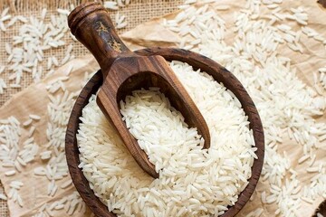 شوک کشاورزان به بازار برنج/ قیمت برنج ترمز برید
