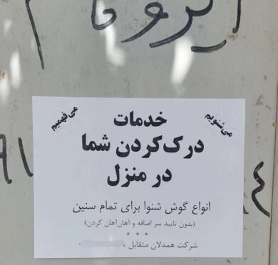 یک شغل عجیب و غریب در ایران معرفی شد/ عکس