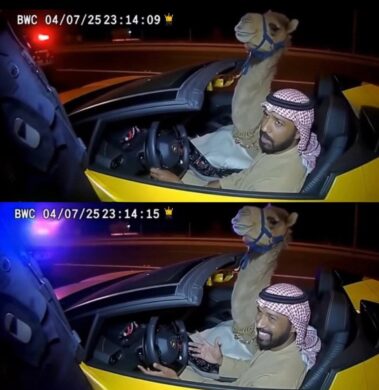 عکس | ثبت لحظه عجیب از لامبورگینی‌سواری شتر!
