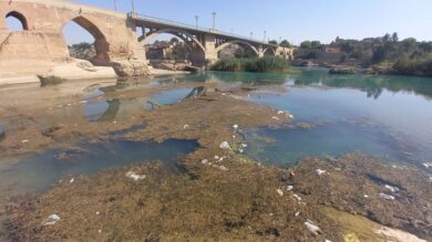 رودخانه دز زیر سیطره جلبک‌ها