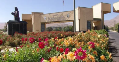 دانشگاه بوعلی سینا همدان
