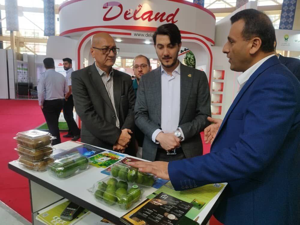 نمایشگاه ارگانیک