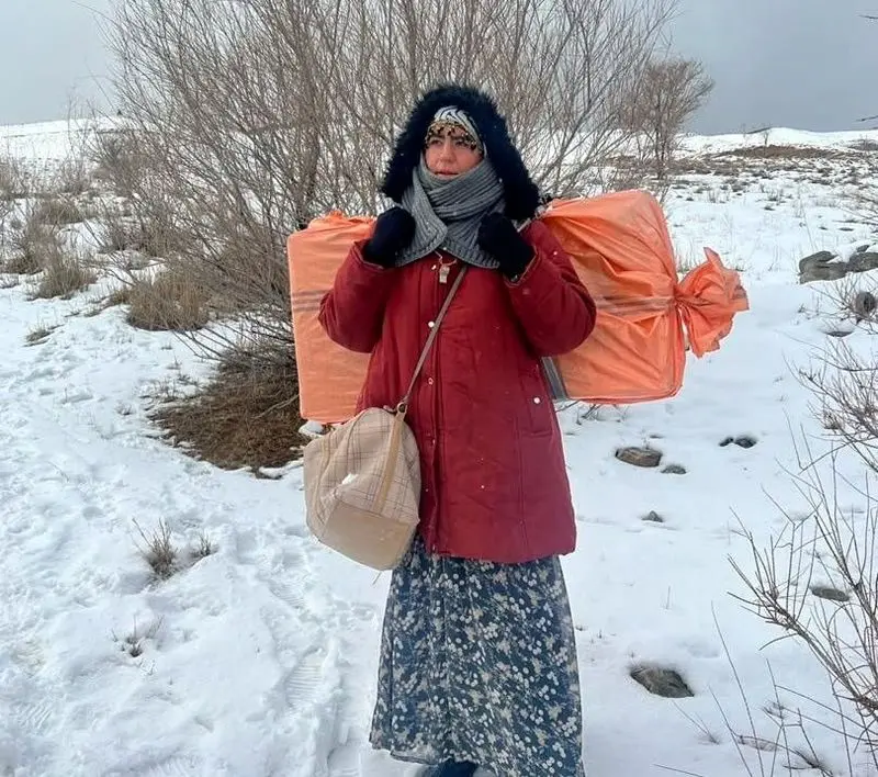 صهبا شرافتی