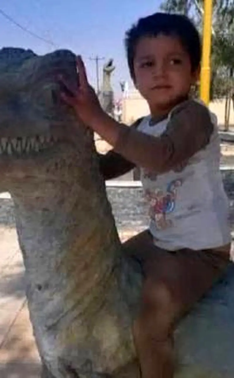 مرگ جگر سوز و همزمان 3 کودک در صحنه ای دردناک