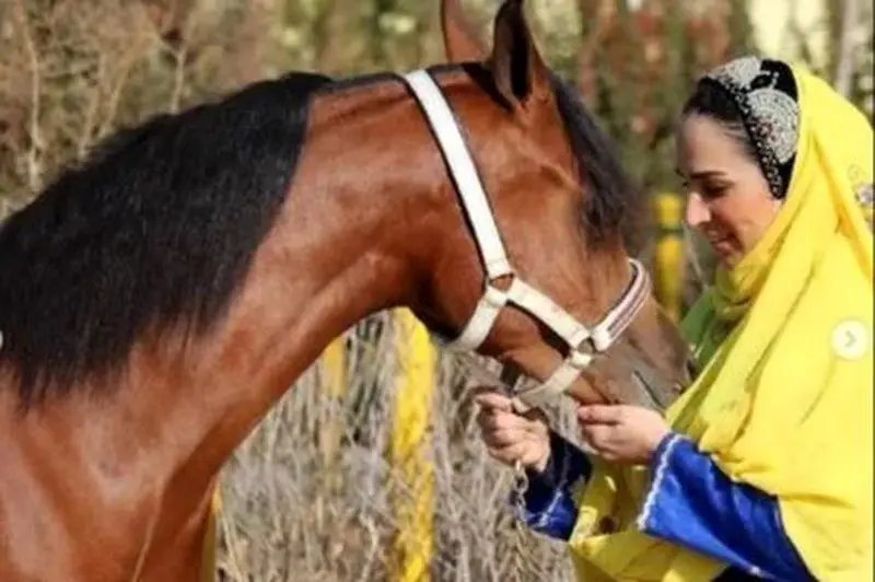 سوگل طهماسبی