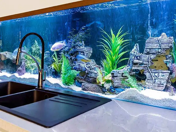 مدل آکواریوم در اپن آشپزخانه + زیباترین و مدرن ترین مدل آکواریوم در اپن آشپزخانه ترند امسال