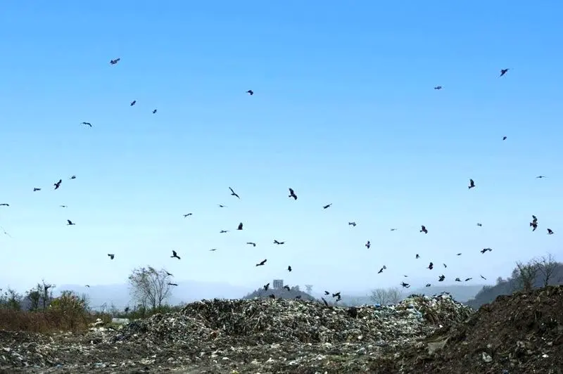 عکس محمد رضا رضازاده