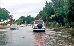 باران آمد، اما خشکسالی نرفت/ بارندگی جدید در راه است؛ فرصت طلایی برداشت باران