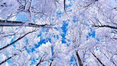 اعلام زمان ورود سامانه بارشی جدید به کشور /بارش برف و باران در ۱۹ استان