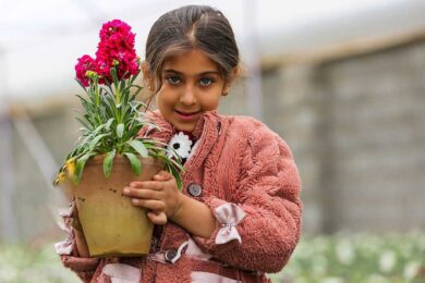 شب بو و نوروز