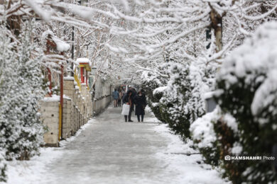 بارش برف زمستانی در تهران