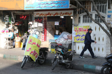 فروشگاه های عرضه کالا برگ