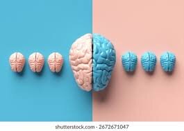 نقشه تکامل مغز